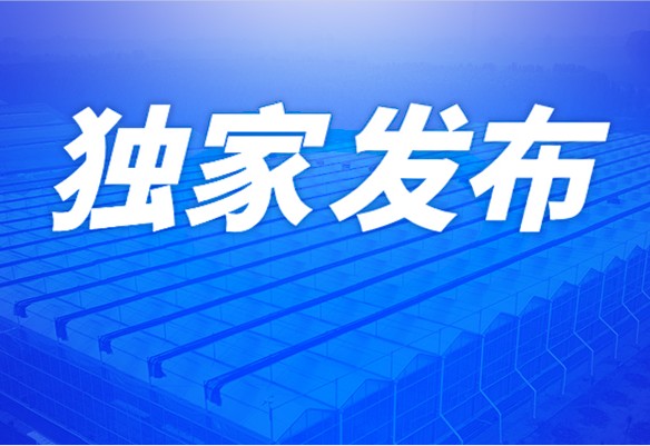 全国温室新建面积统计（共12套打包）