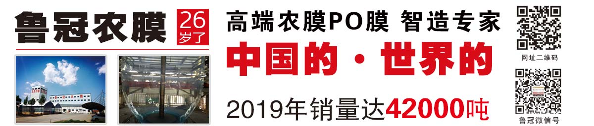 鲁冠