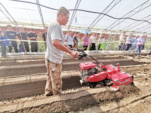 日光温室草莓起垄机研制成功