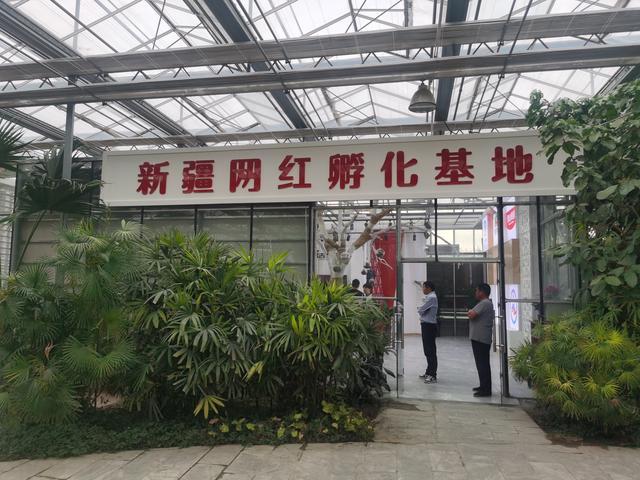 新疆农业博览园智慧农业科技展馆亮相