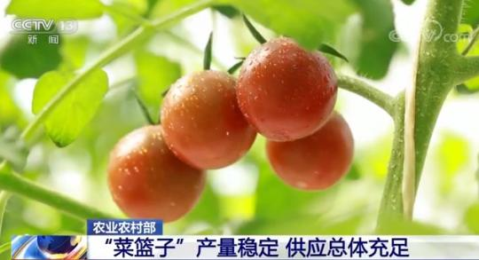 农业农村部：“菜篮子”产量稳定 供应总体充足