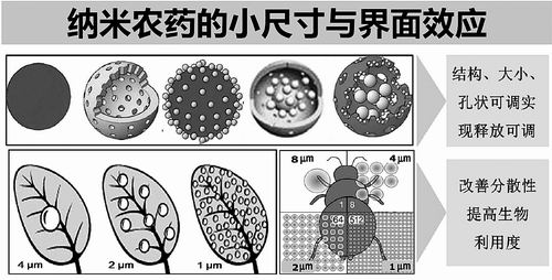 用纳米技术改造传统农业