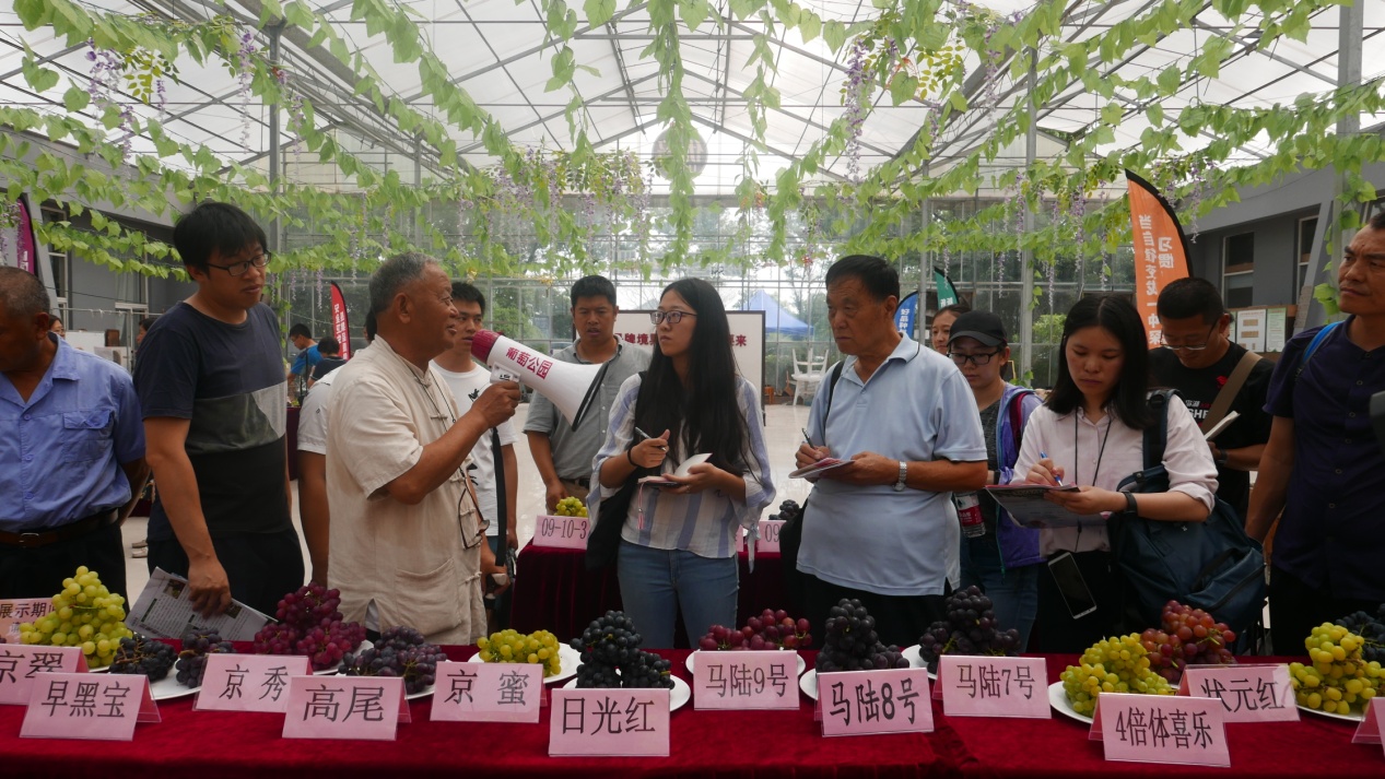 2018年葡萄早熟品种展示暨葡萄产业发展论坛在上海召开