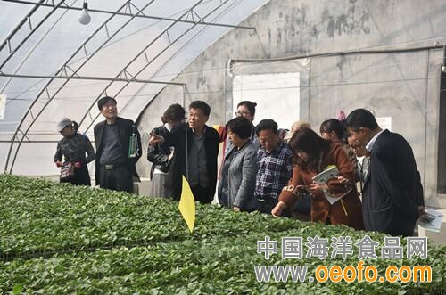 渭南市农业科学研究所赴山东考察设施农业