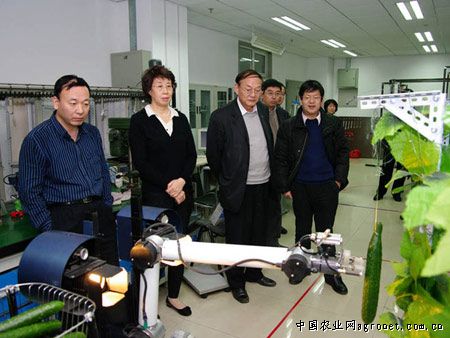 中国农大黄瓜采摘机器人技术研究通过教育部鉴定