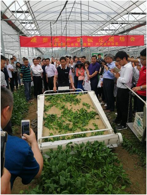 【图文】南京蔬菜生产机具演示会上有哪些好产品？