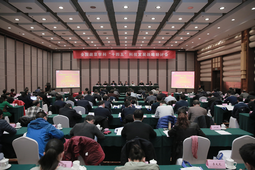 全国蔬菜学科“十四五”科技发展战略研讨会记：只争朝夕谋未来