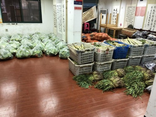 武汉4000亩蔬菜种植地，苏宁菜场承包了