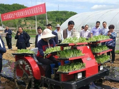今年宝鸡太白县将发展高山蔬菜10万亩