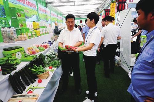 河北新发地连续三次举办京津冀蔬菜食用菌产销对接活动