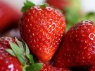西班牙草莓销量下降50%