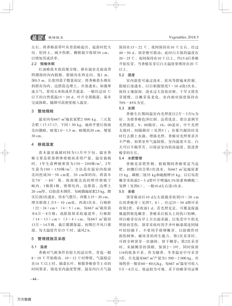 红油椿山区坡地温室栽培的几项重要技术.pdf_第3页