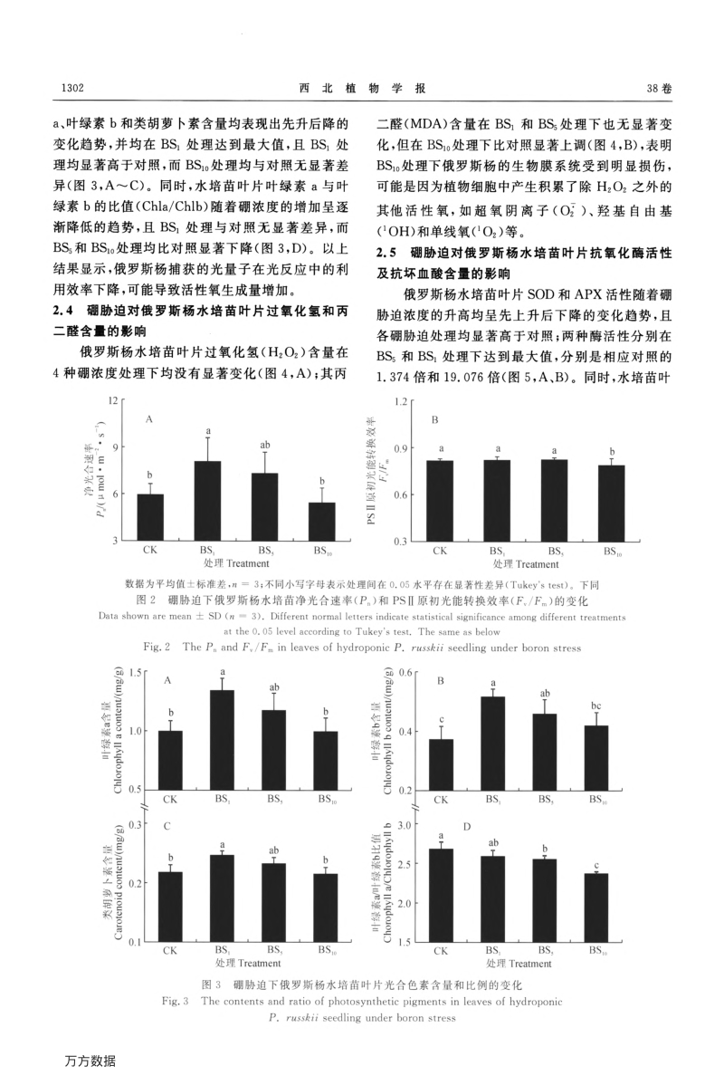 俄罗斯杨水培苗对硼胁迫的生长和生理响应.pdf_第4页