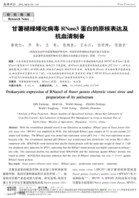 甘薯褪绿矮化病毒RNaSe3蛋白的原核表达及抗血清制备.pdf