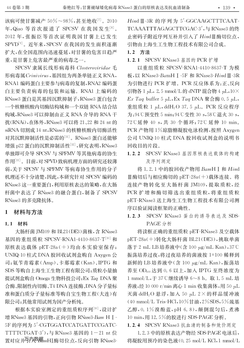 甘薯褪绿矮化病毒RNaSe3蛋白的原核表达及抗血清制备.pdf_第2页