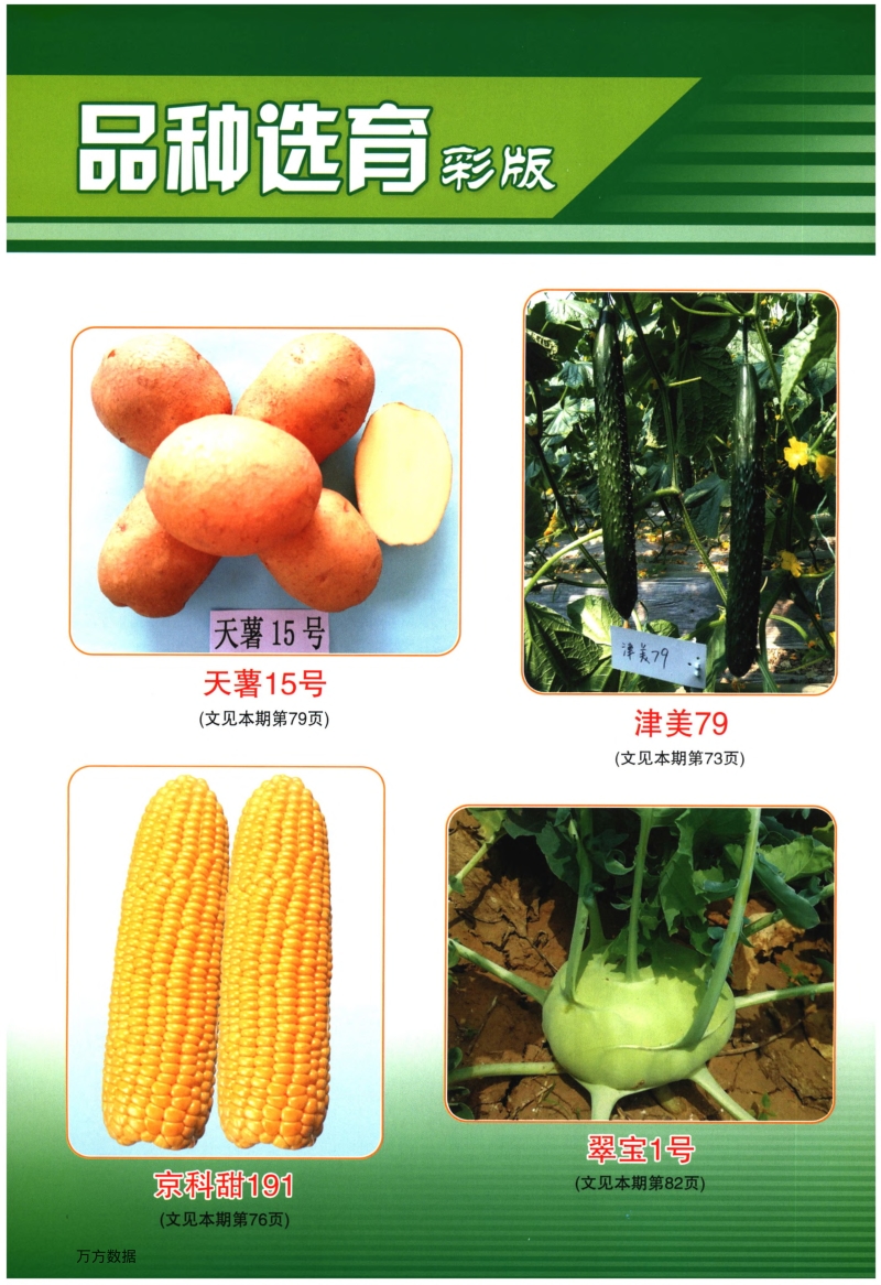 黄瓜新品种津美79的选育.pdf_第4页
