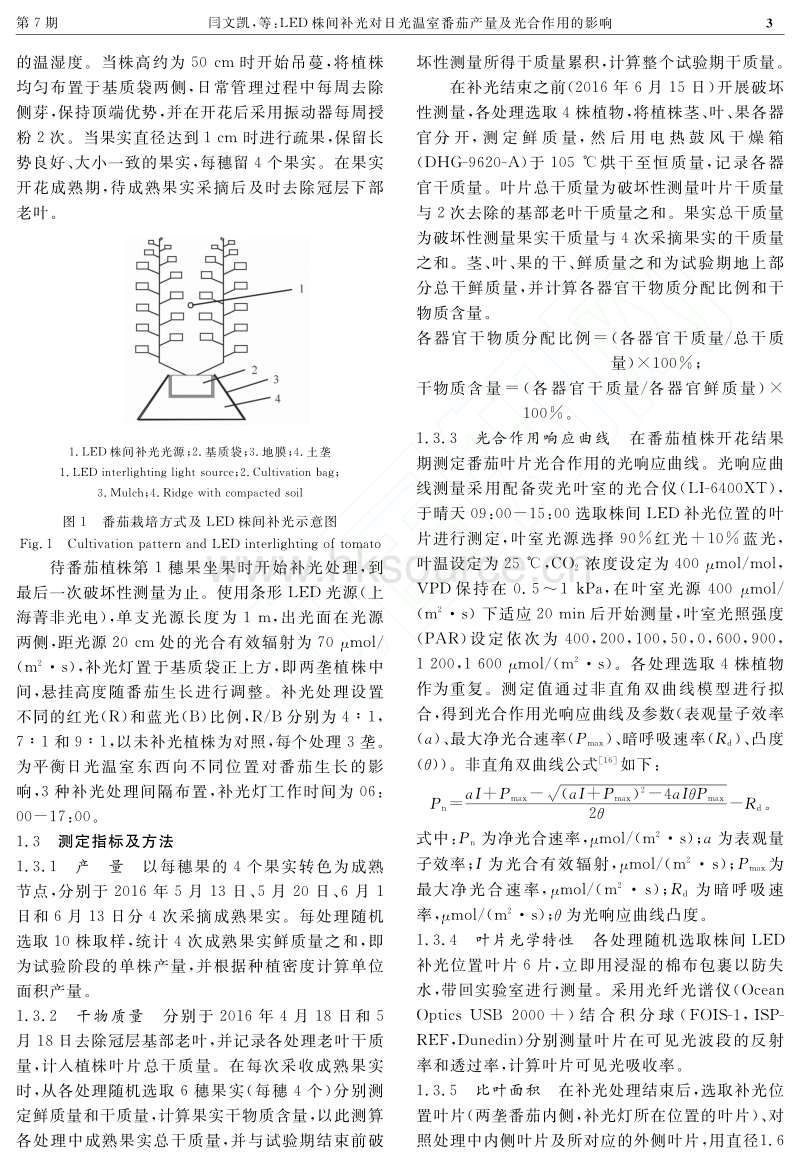 LED株间补光对日光温室番茄产量及光合作用的影响_第3页