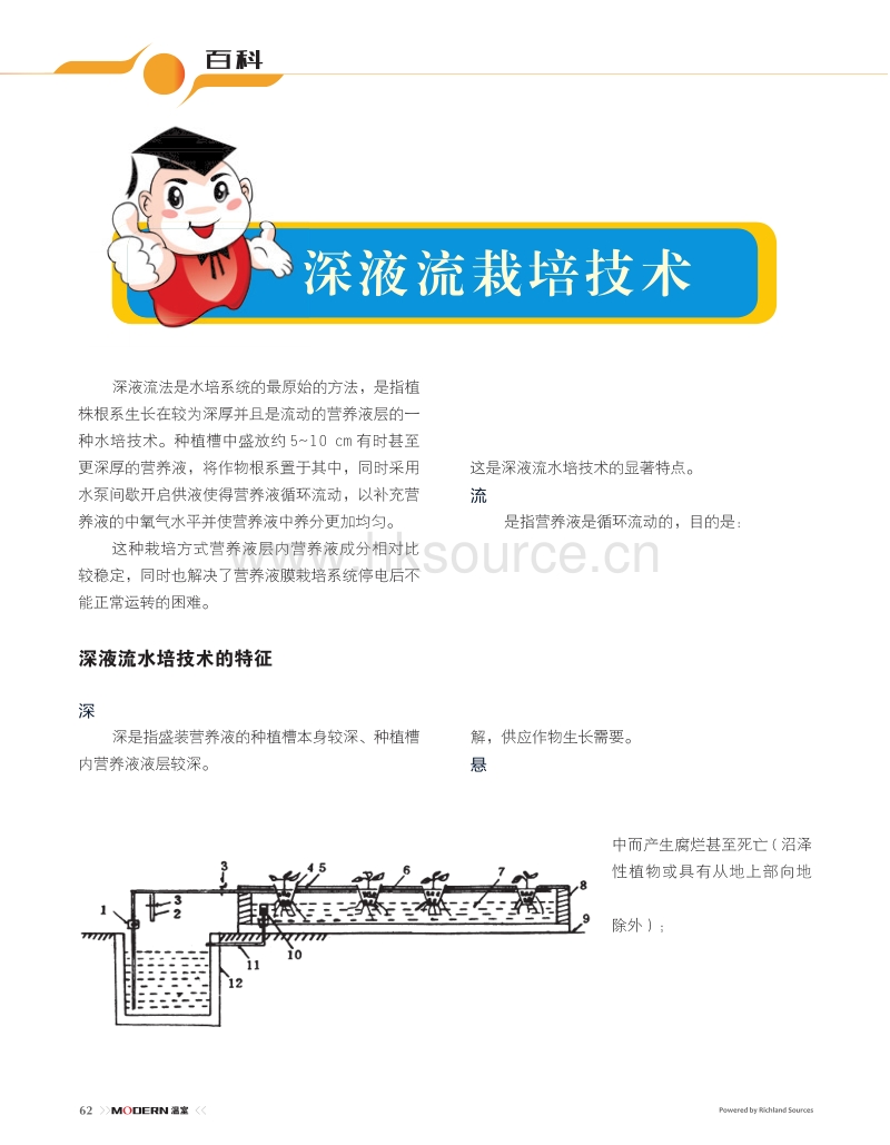 百科：深液流栽培技术.pdf_第1页