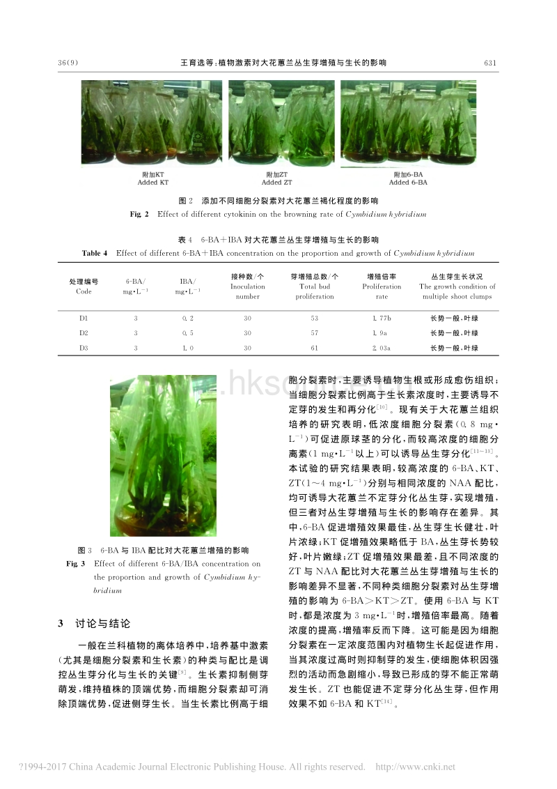 植物激素对大花蕙兰丛生芽增殖与生长的影响_第4页