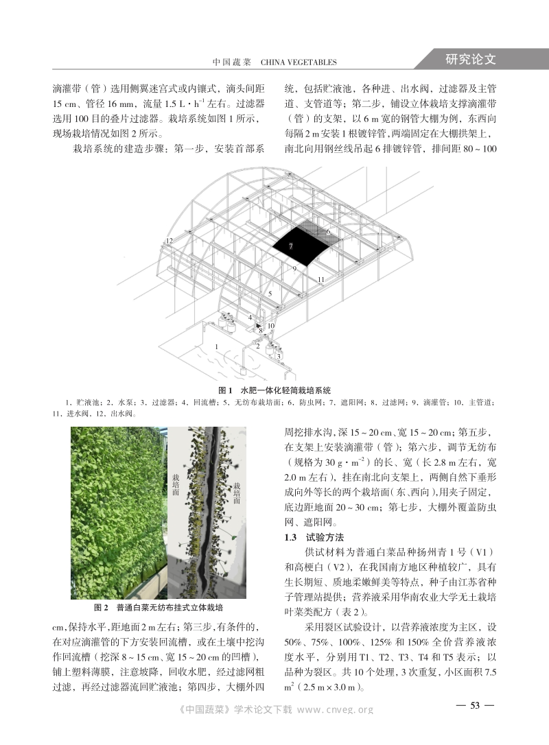 无纺布挂式立体栽培普通白菜研究_第2页