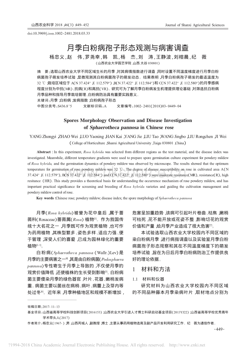 月季白粉病孢子形态观测与病害调查_杨忠义.pdf_第1页