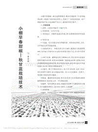 小棚早春甜椒、秋甘蓝栽培技术_李雪雁.pdf