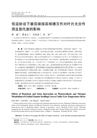 低温胁迫下番茄嫁接苗根穗互作对叶片光合作用及氮代谢的影响.pdf