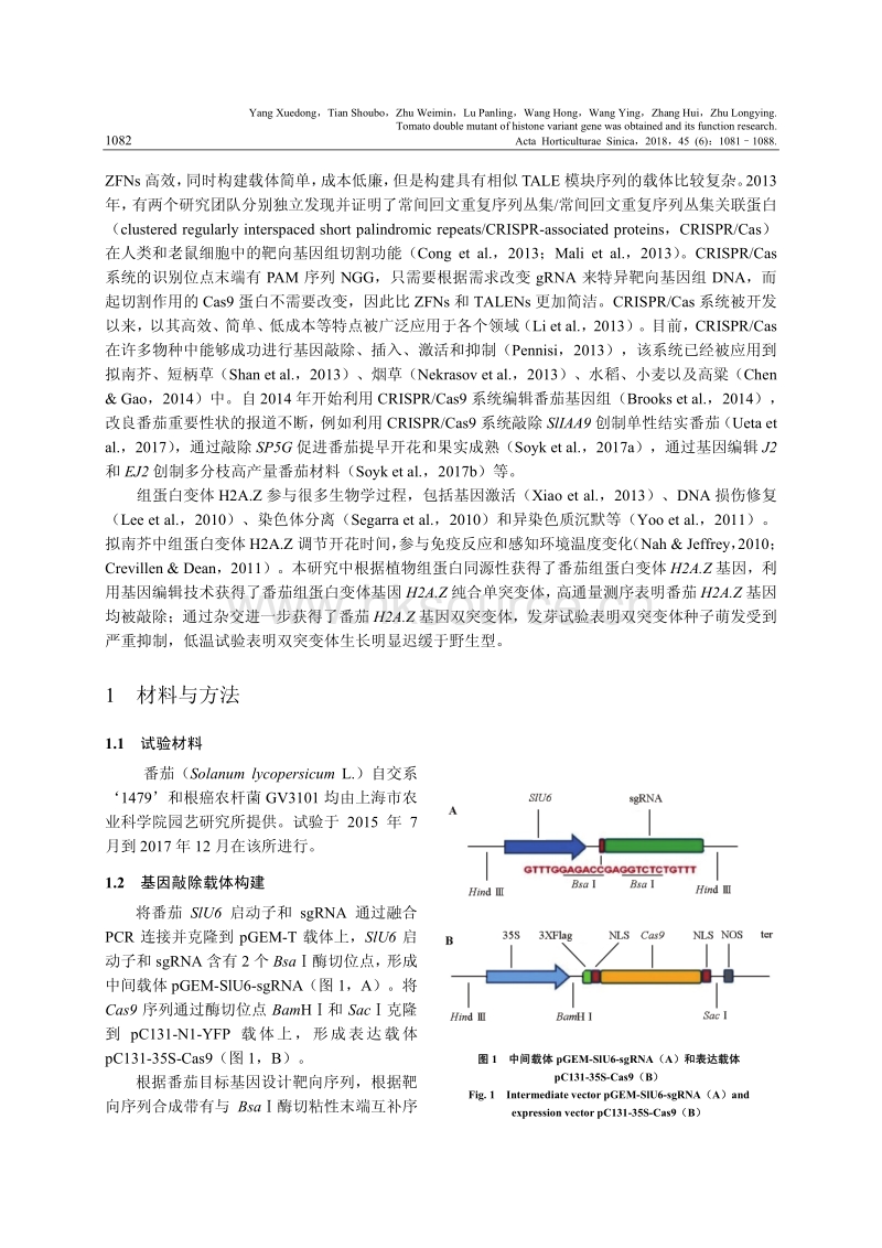 番茄组蛋白变体H2A.Z基因双突变体的获得及其功能研究.pdf_第2页