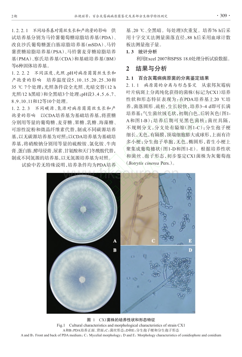 百合灰霉病病原菌鉴定及其部分生物学特性测定_第3页