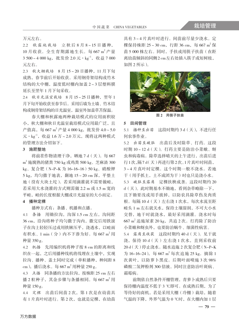 天津设施青萝卜高效种植管理技术.pdf_第2页