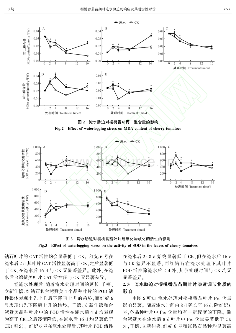 樱桃番茄苗期对淹水胁迫的响应及其耐涝性评价.pdf_第4页