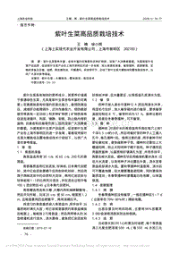 紫叶生菜高品质栽培技术.pdf