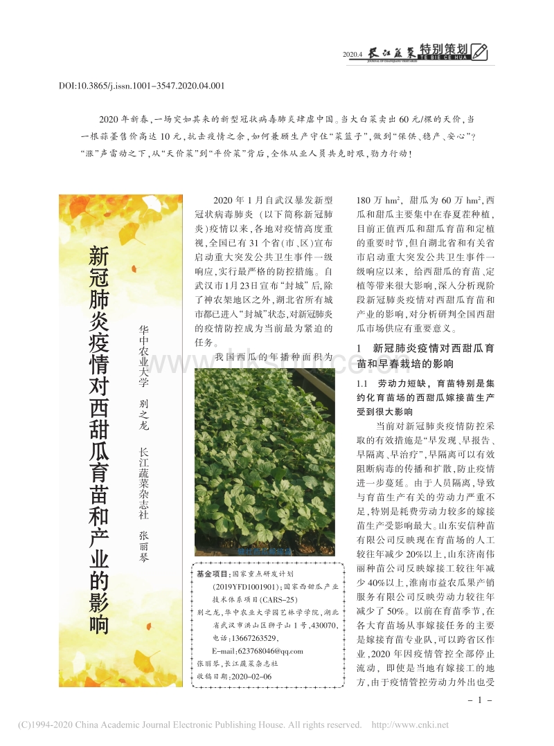 新冠肺炎疫情对西甜瓜育苗和产业的影响.pdf_第1页