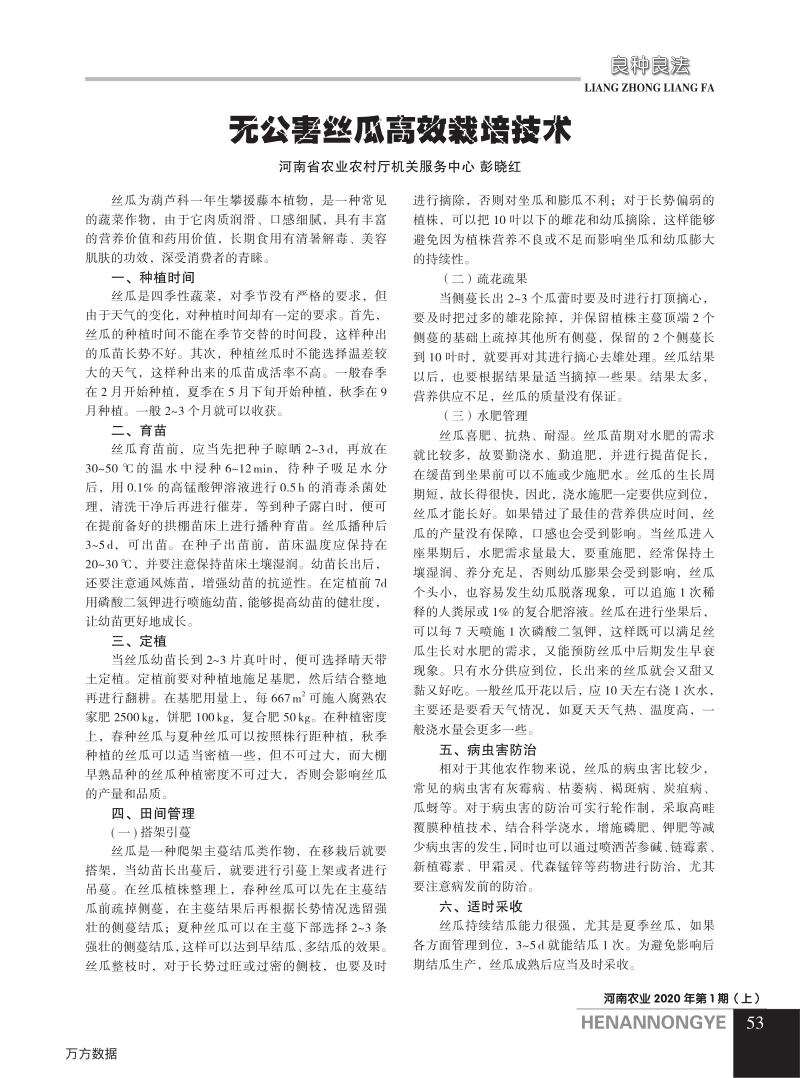 无公害丝瓜高效栽培技术.pdf_第1页