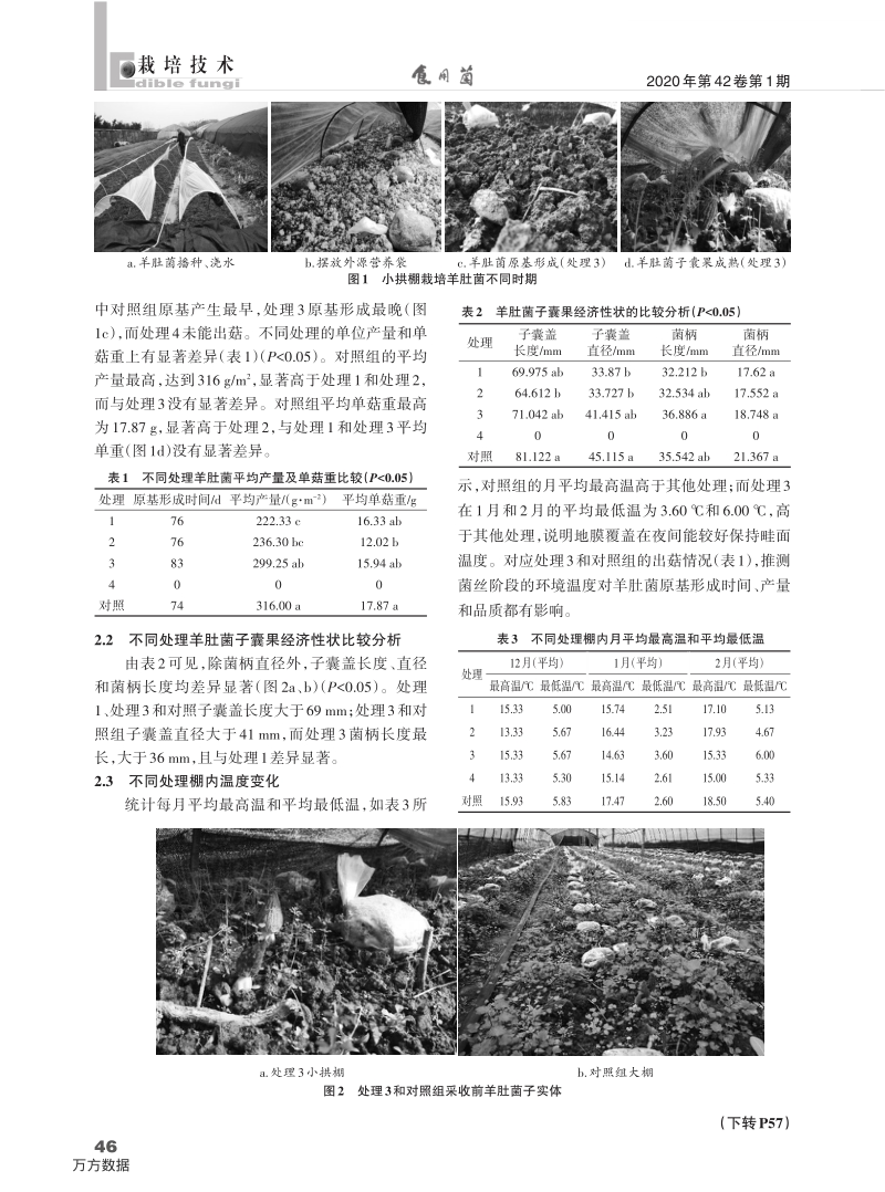 设施小拱棚栽培羊肚菌比较试验.pdf_第2页