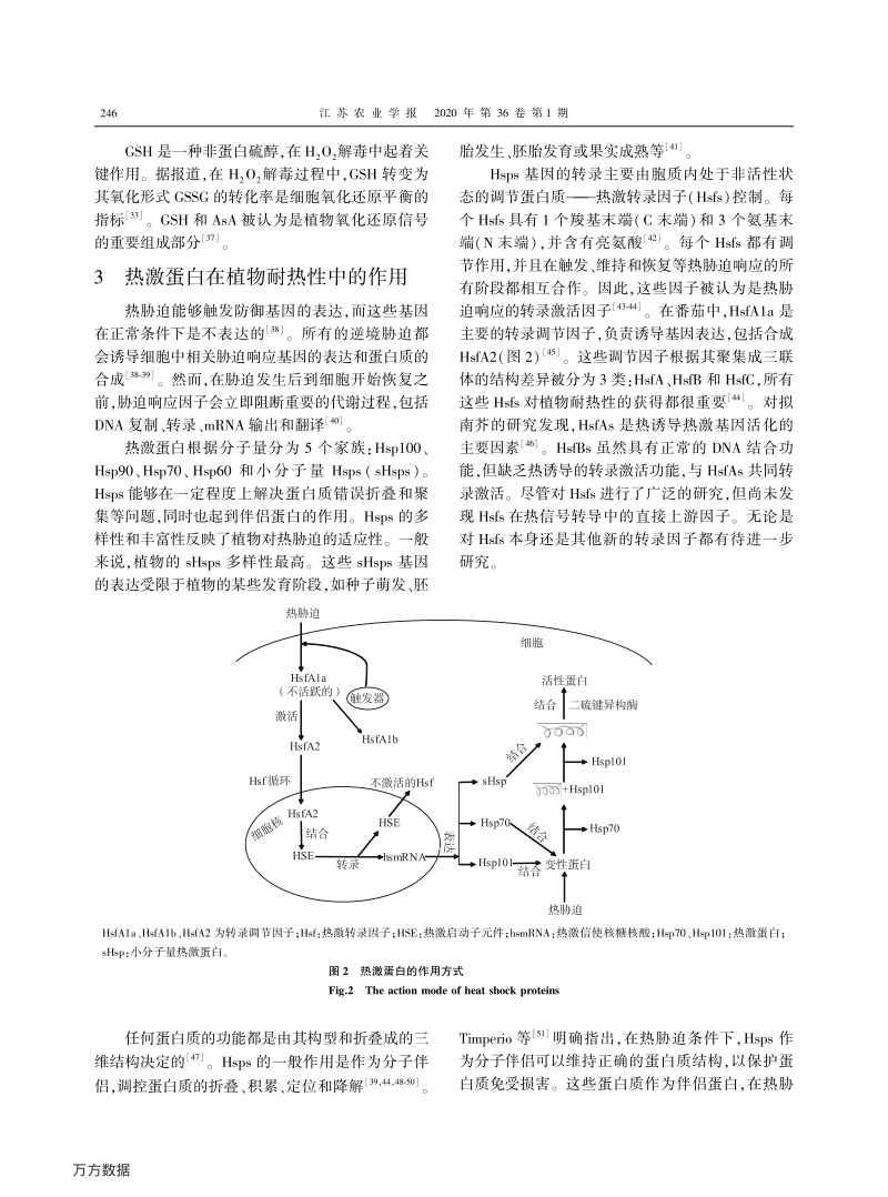 植物耐热机理研究进展.pdf_第4页