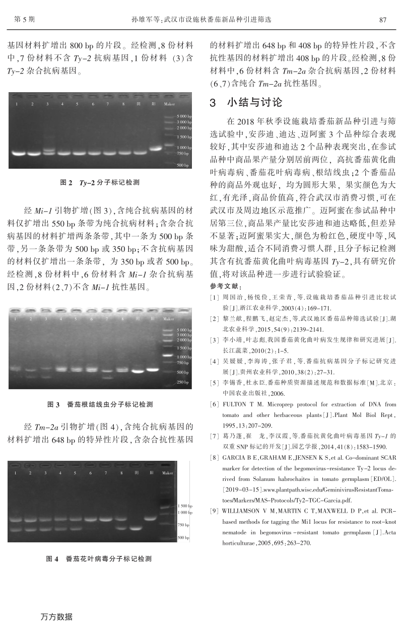 武汉市设施秋番茄新品种引进筛选.pdf_第4页
