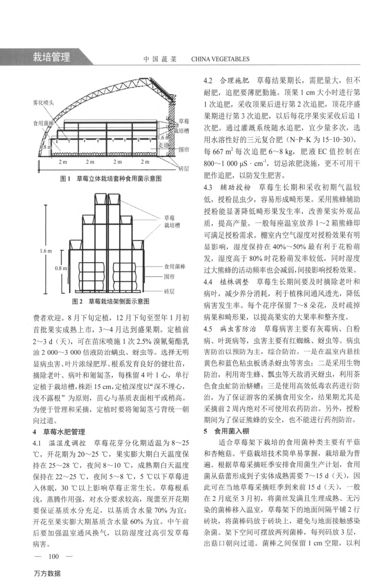 草莓立体栽培套种食用菌高效生产技术.pdf_第2页