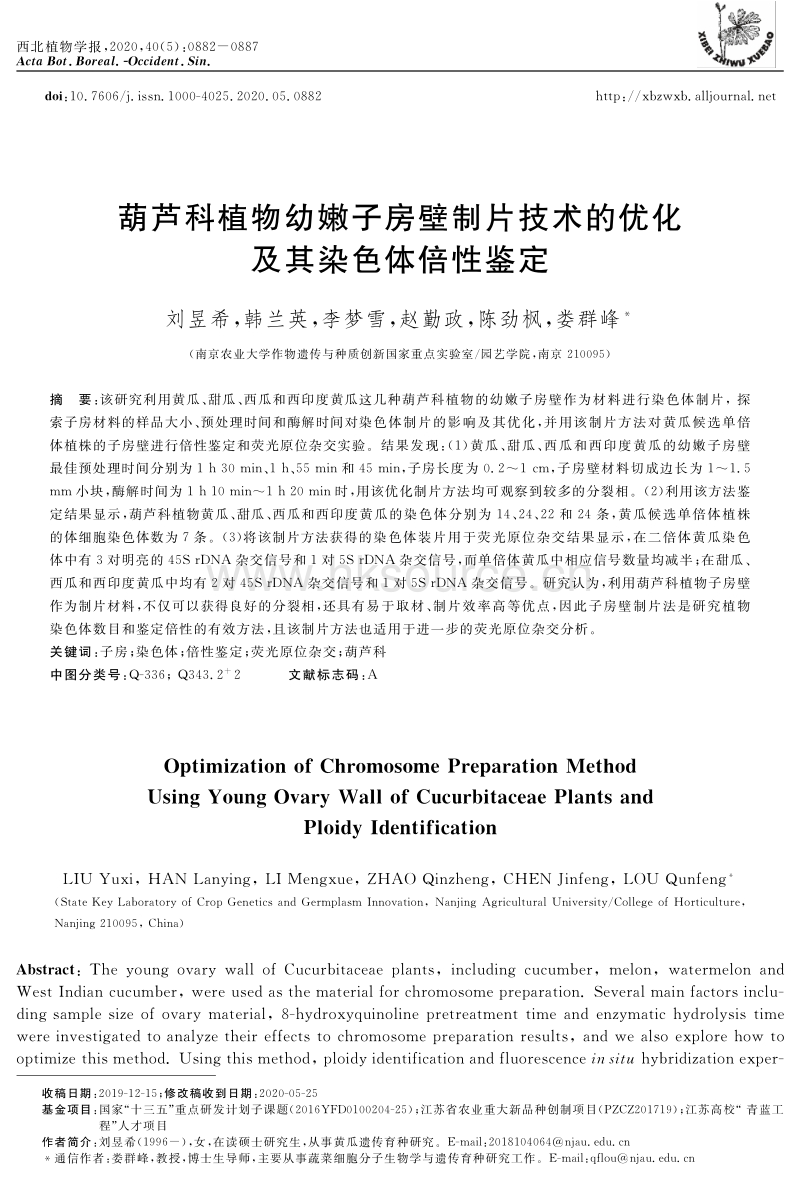 葫芦科植物幼嫩子房壁制片技术的优化及其染色体倍性鉴定.pdf_第1页