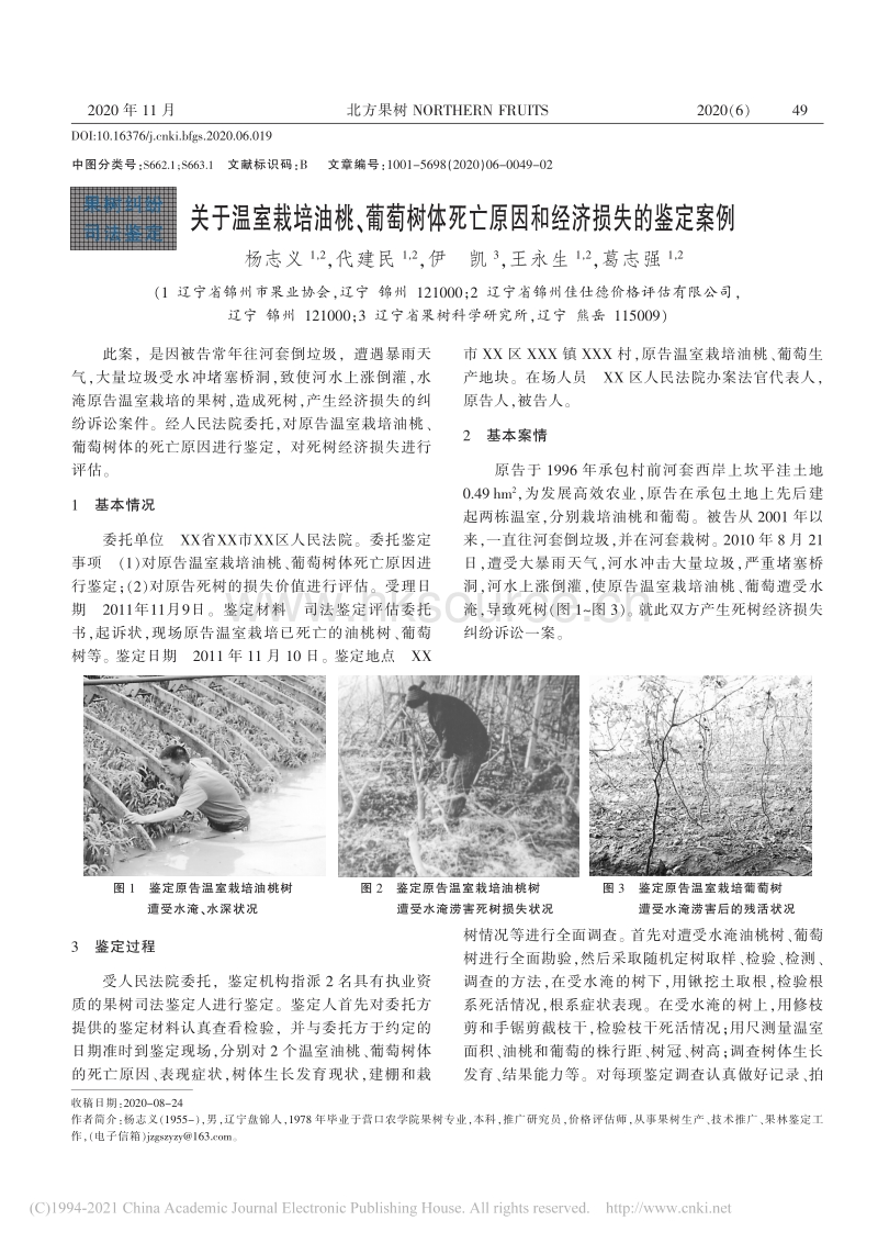 关于温室栽培油桃、葡萄树体死亡原因和经济损失的鉴定案例.pdf_第1页