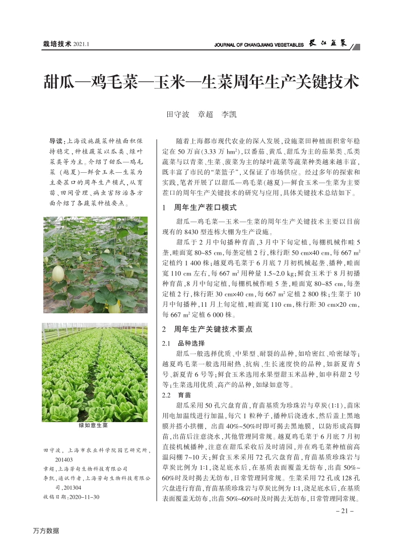 甜瓜—鸡毛菜—玉米—生菜周年生产关键技术.pdf_第1页