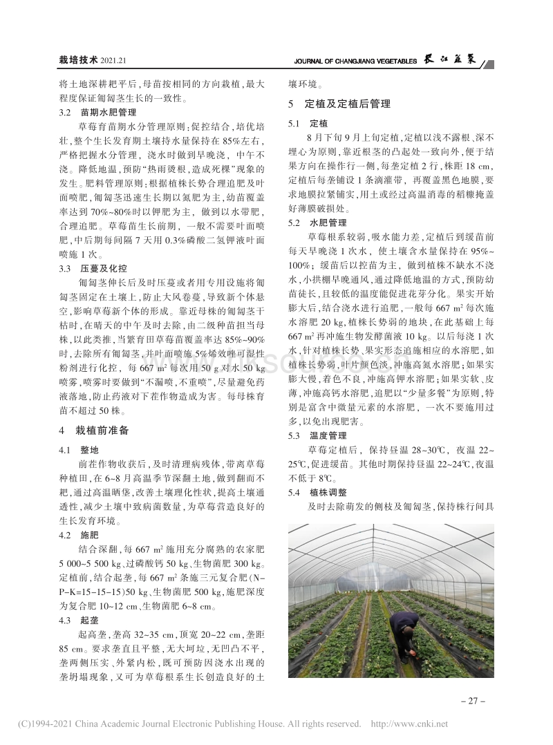 万州区九池乡小拱棚草莓高产优质种植技术_唐淑雅.pdf_第2页