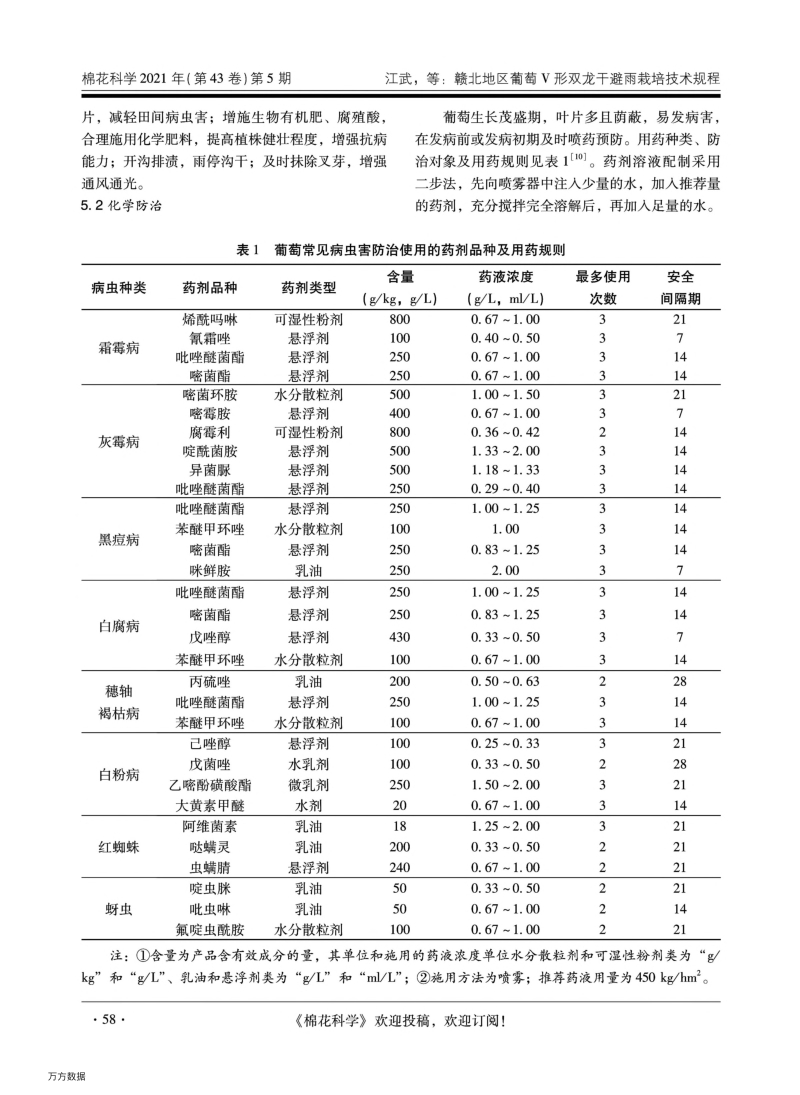 赣北地区葡萄V形双龙干避雨栽培技术规程.pdf_第5页