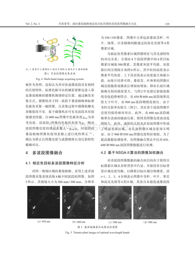 面向番茄植株相近色目标识别的多波段图像融合方法.pdf_第4页