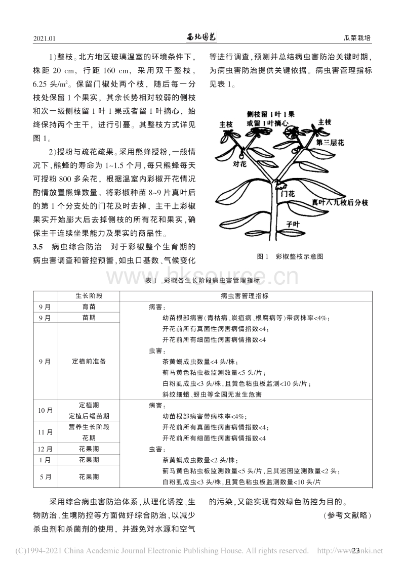 北方玻璃温室彩椒无土栽培精准化生产管理_郭玲娟.pdf_第3页