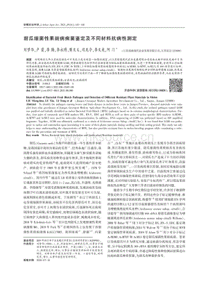 甜瓜细菌性果斑病病菌鉴定及不同材料抗病性测定.pdf