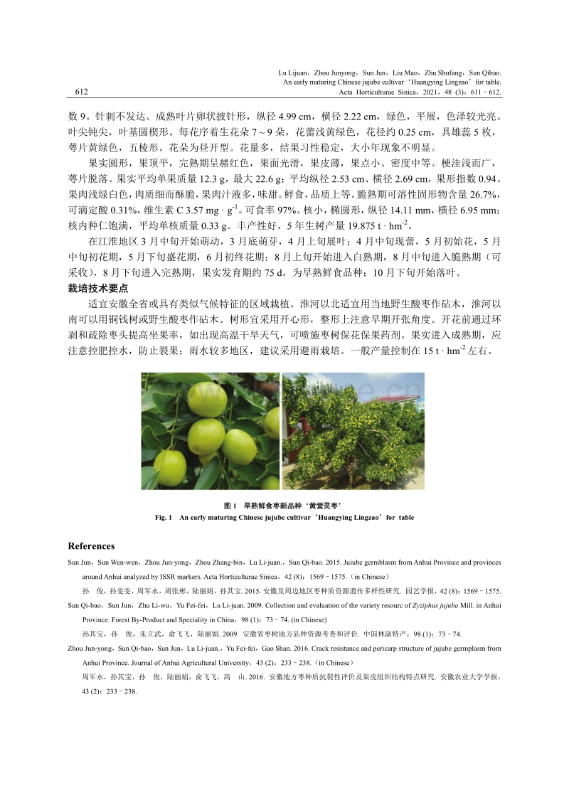 早熟鲜食枣新品种 黄营灵枣 .pdf_第2页