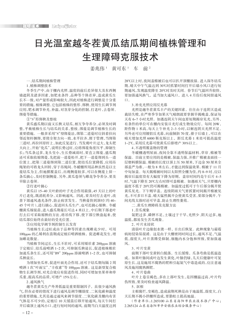 日光温室越冬茬黄瓜结瓜期间植株管理和生理障碍克服技术.pdf_第1页