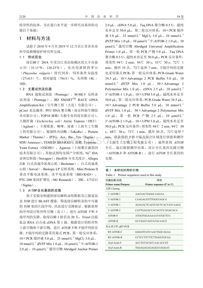 绿盲蝽雷帕霉素靶蛋白的克隆、抗体制备及在蜕皮激素诱导下的应答.pdf_第3页