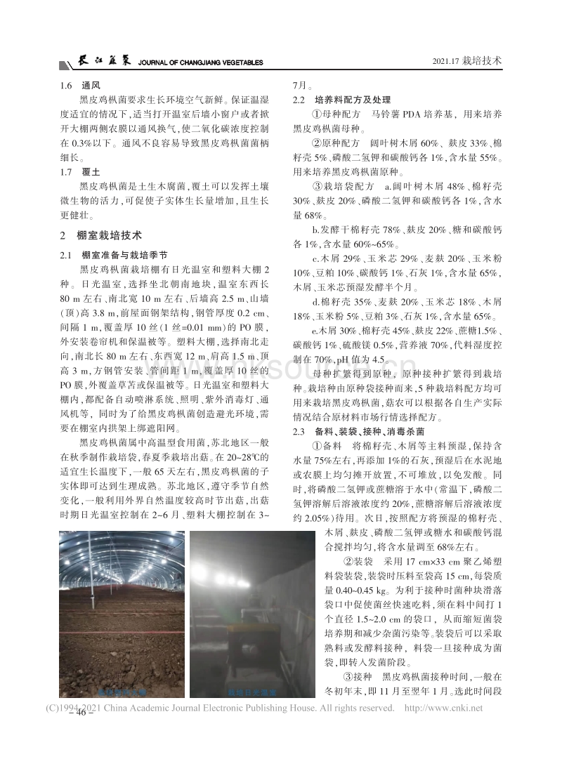 苏北地区棚室黑皮鸡枞菌高效栽培技术.pdf_第2页